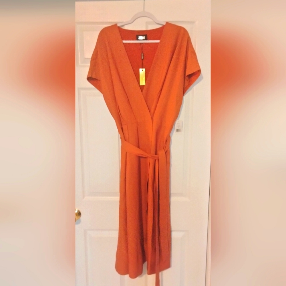 Women's Alexia Admor Plus Size Iris Dolman Sleeve Faux Wrap Dress Size 3XL